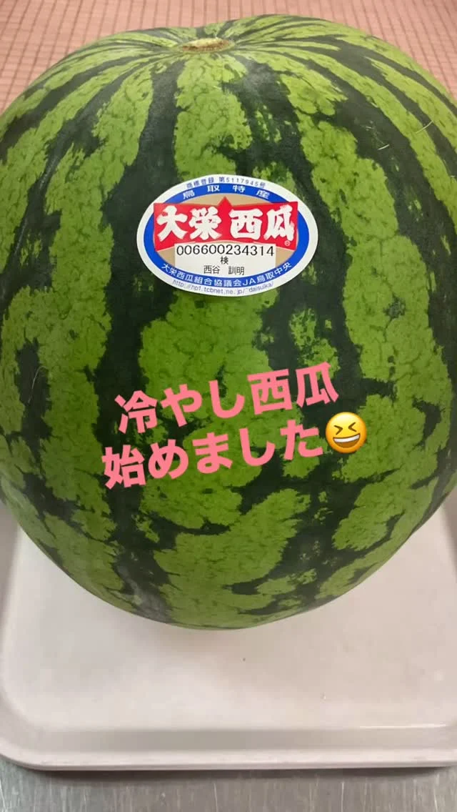 Instagram 投稿 18069764912065124